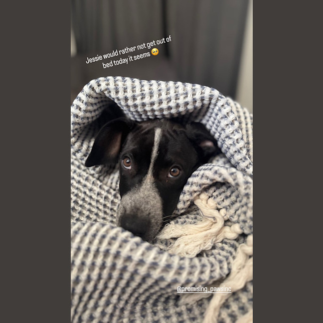 Photo of Jessie