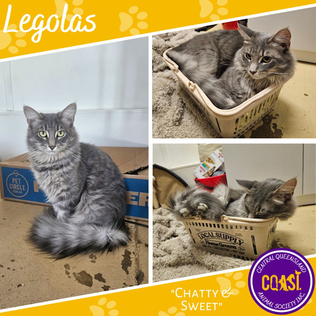 Photo of Legolas