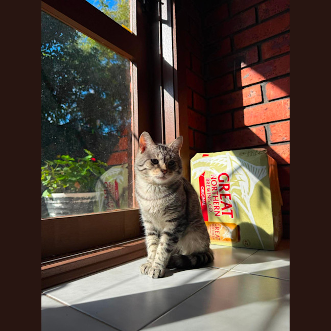 Photo of Mandarin And Sushi