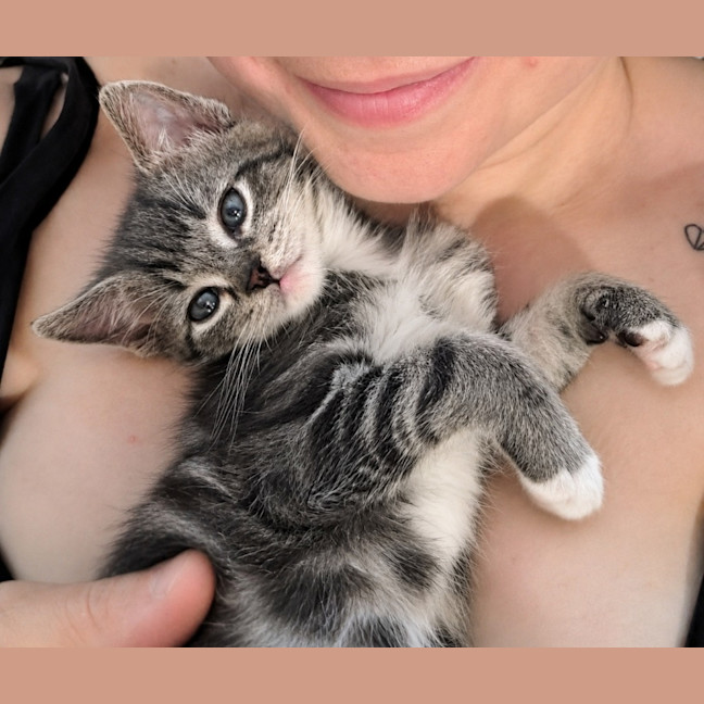Photo of Remy