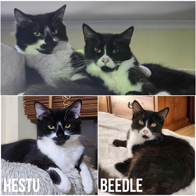 Photo of 11513 & 11514   Hestu & Beedle