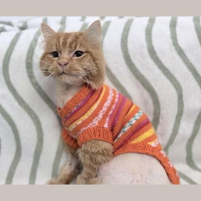 Photo of Calvin