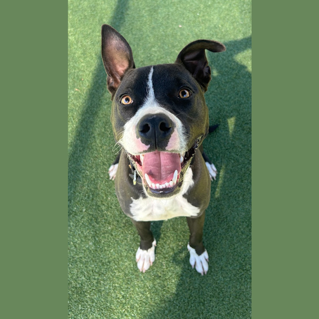 Photo of Tank