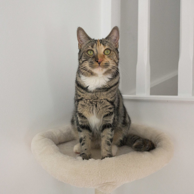 Photo of Sharona 