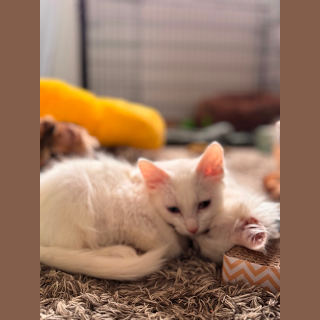 Photo of Spooky