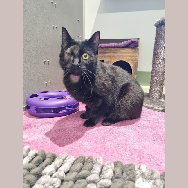 Photo of Dread Pirate Roberts