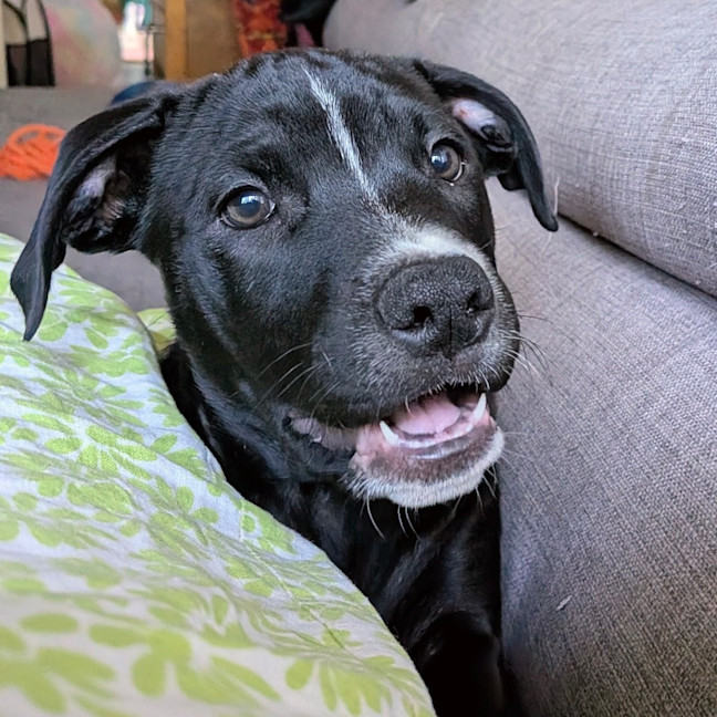 Photo of Amelia