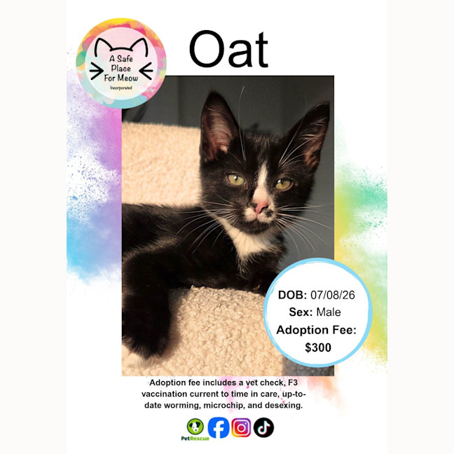 Photo of Oat