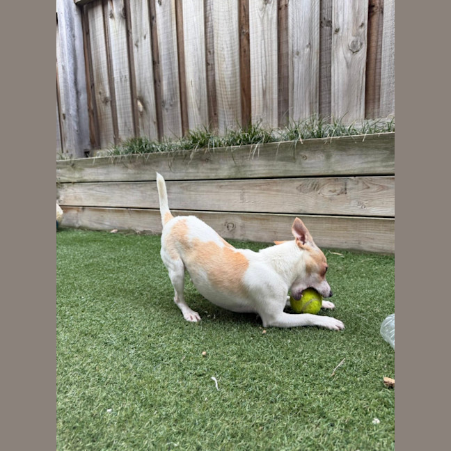 Photo of Miss Stevie