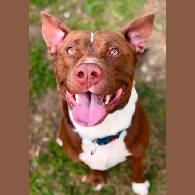 Photo of Zeus