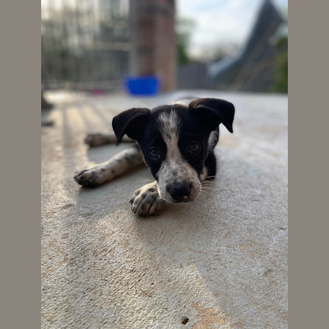 Photo of Stanley