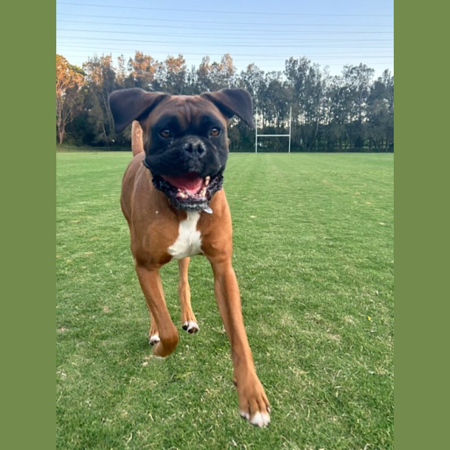 Photo of Tyson