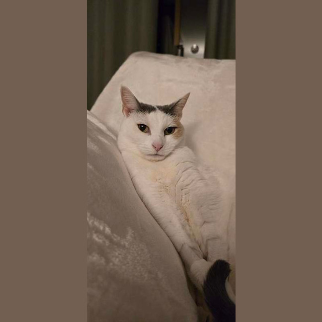 Photo of Angel