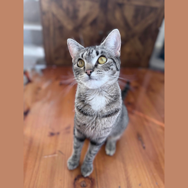 Photo of Sully 🌹🌹🌹