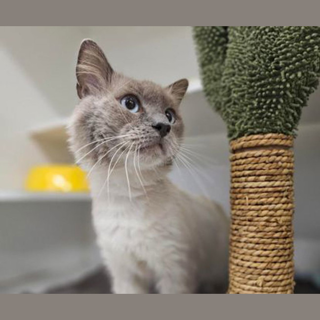 Photo of Artemis