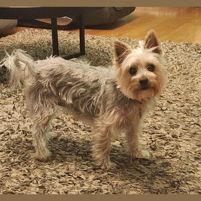 Photo of Coco