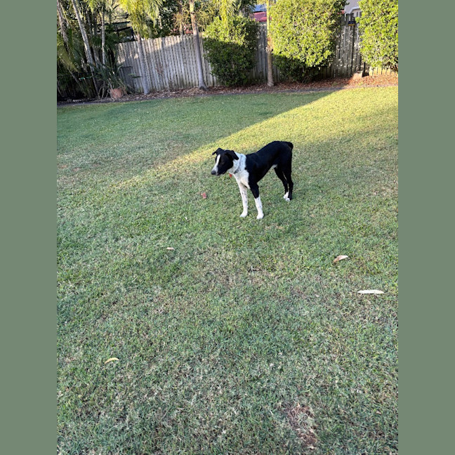 Photo of Tucker