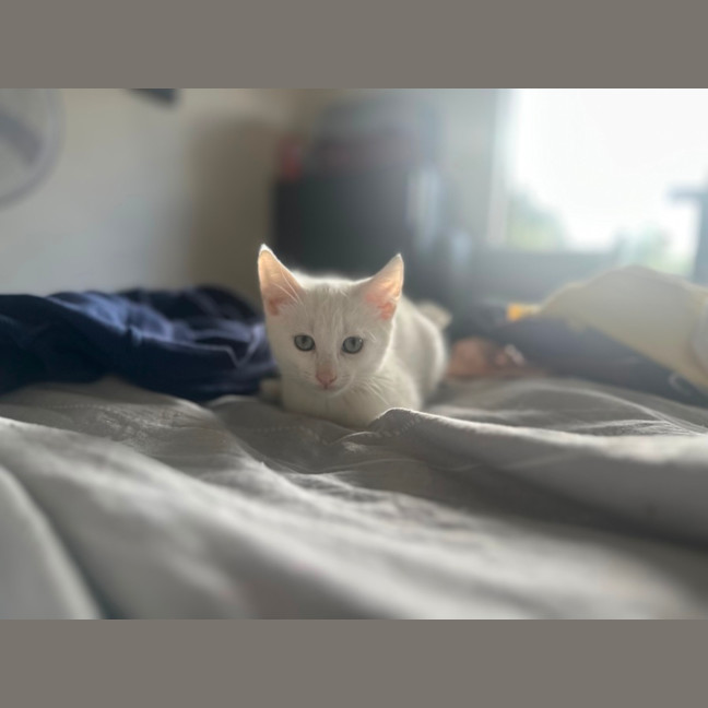 Photo of The Whities! 