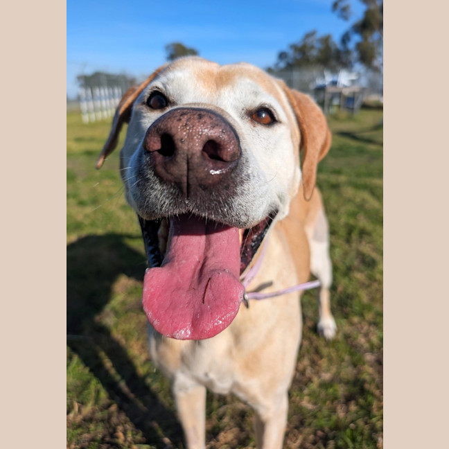 Photo of Lily