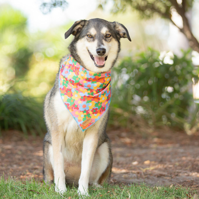 Photo of Maya