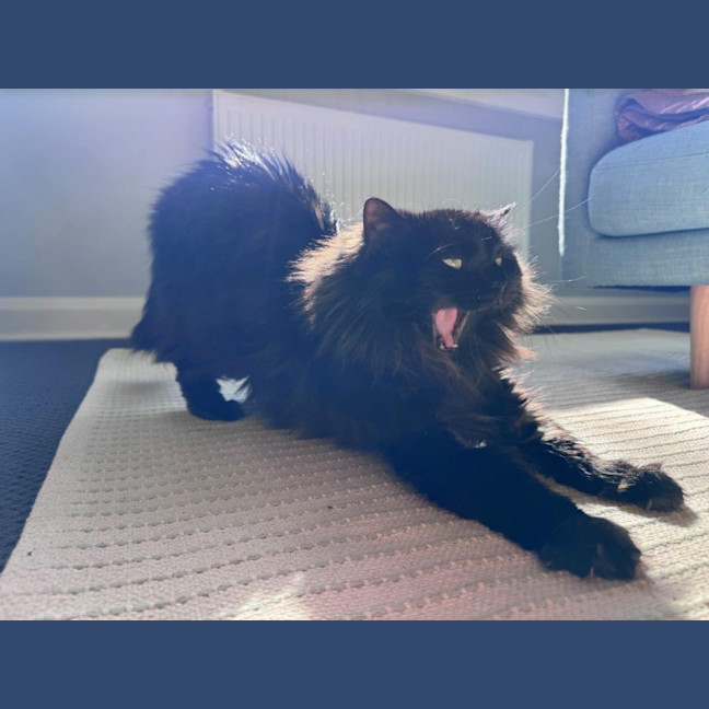 Photo of Sootie Uffelman