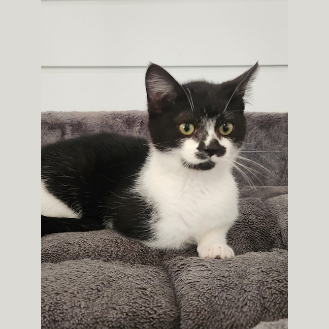 Photo of Harper