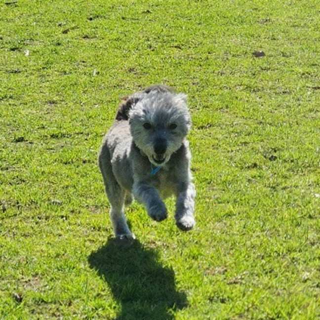 Photo of Tubby