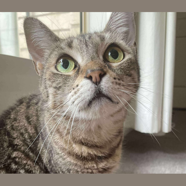 Photo of Kiki