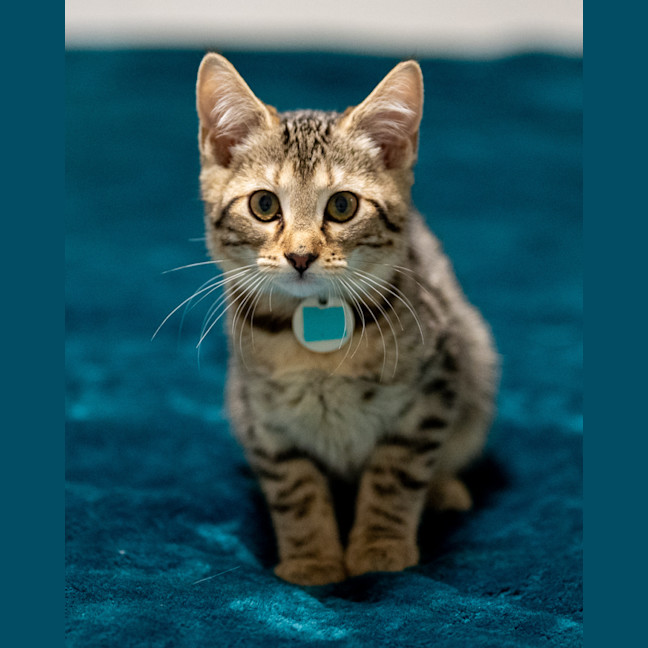 Photo of Roxy