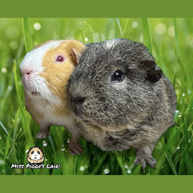 Photo of Leroy And Wayne