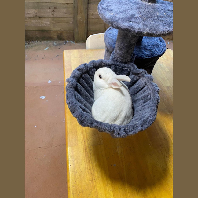 Photo of Fallon And Anders