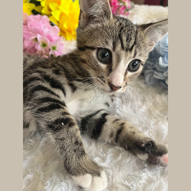 Photo of Jasper