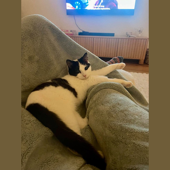 Photo of Moo