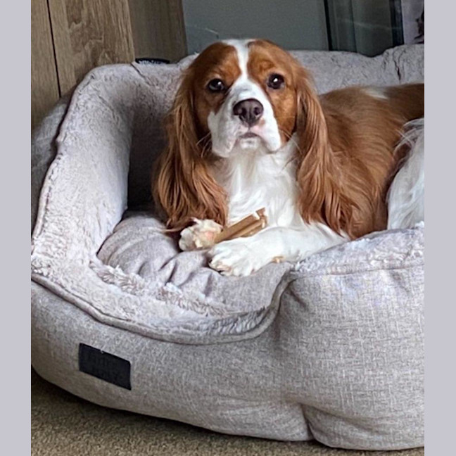 Photo of Ruby Uffelman