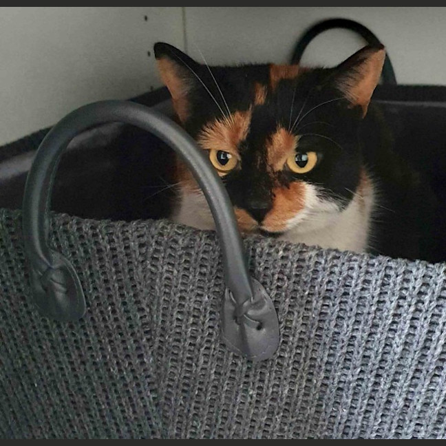 Photo of Queen Mimmi