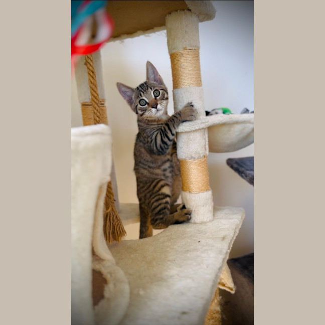 Photo of Gus