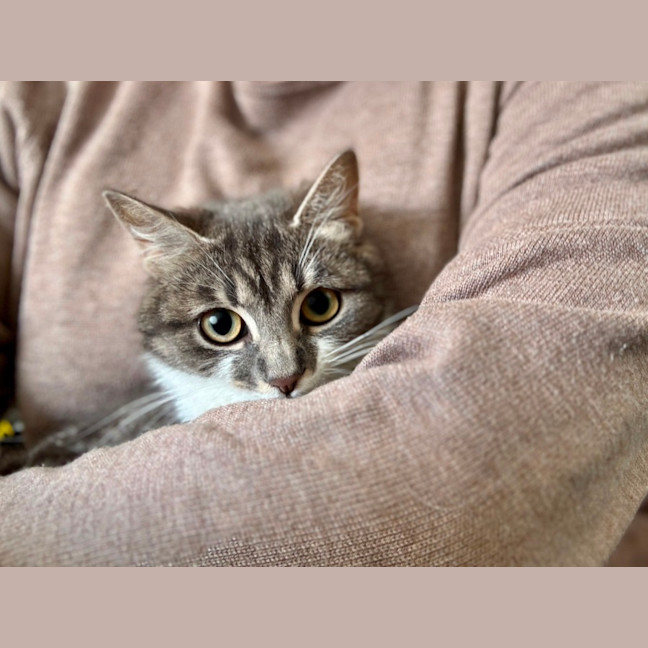 Photo of Bon Bon