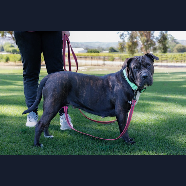 Photo of Athena 