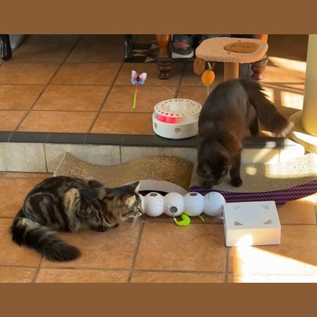 Photo of Abigail And Storm