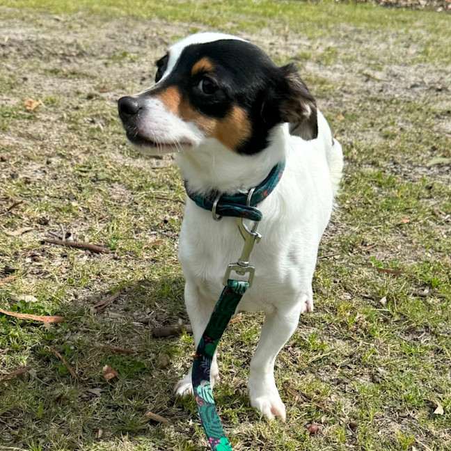 Photo of Gary And Willow 