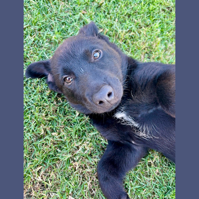 Photo of Betty