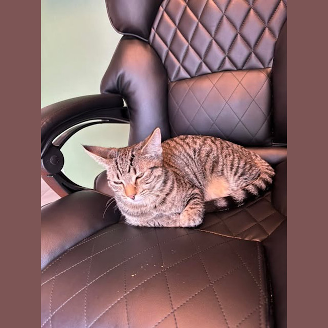 Photo of Gwen