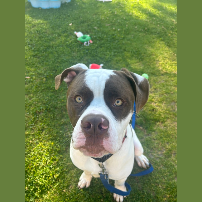 Photo of Kingston
