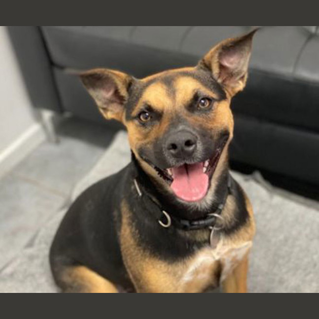 Photo of Cleo