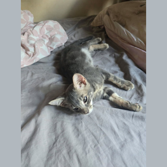 Photo of Blaire
