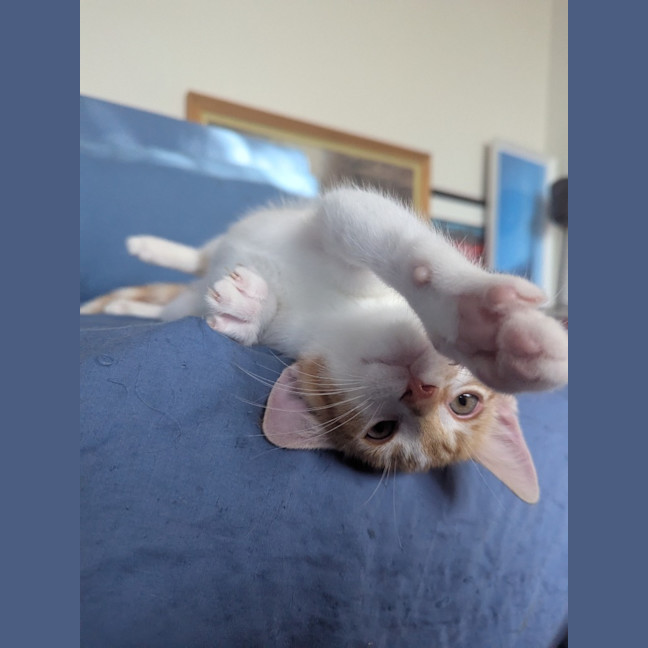 Photo of Stanley Golden