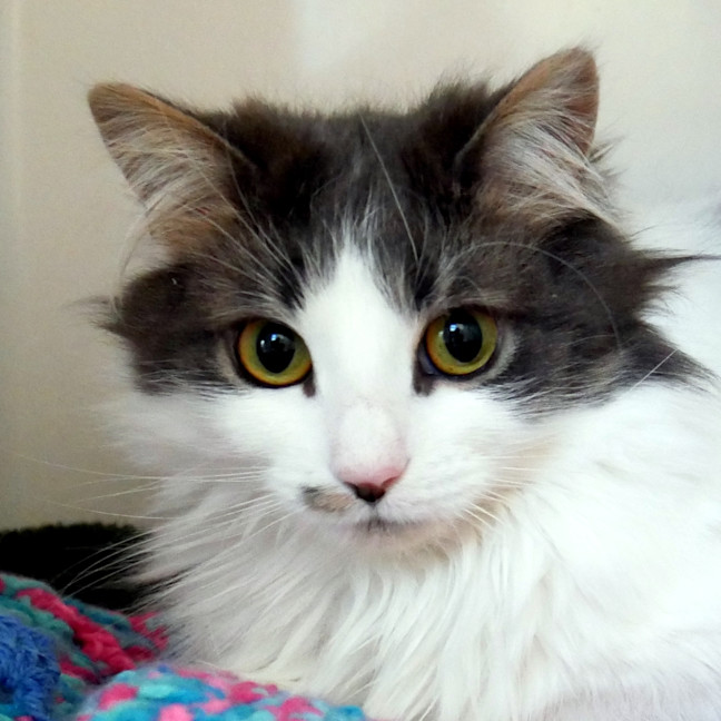 Photo of Lily Sta012784