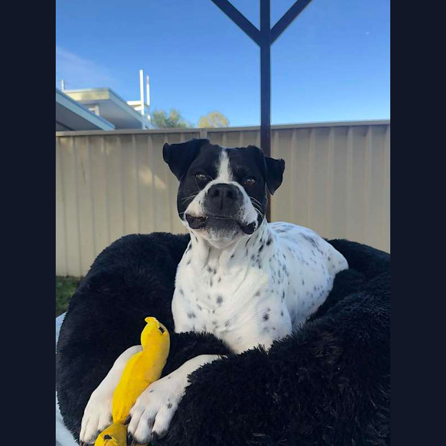 Photo of Penelope