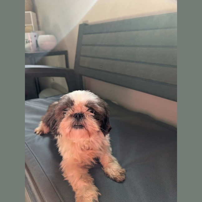 Photo of Bonnie