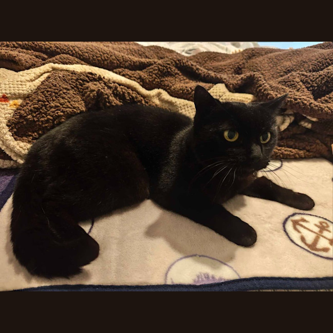 Photo of Marcy